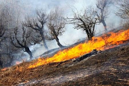 هشدار منابع طبیعی سرخس نسبت به احتمال آتش‌سوزی پوشش گیاهی مراتع به دلیل گرما
