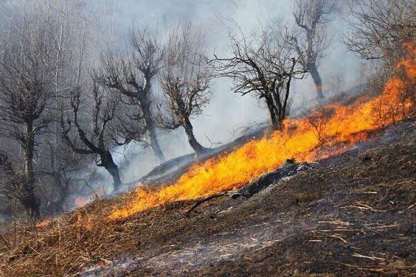آتش‌سوزی ۶ هکتار از مراتع قزل‌بلاغ سرخس مهار شد