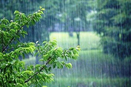 افزایش حدود ۸۰ درصدی بارندگی از ابتدای سال زراعی جاری تاکنون در سرخس