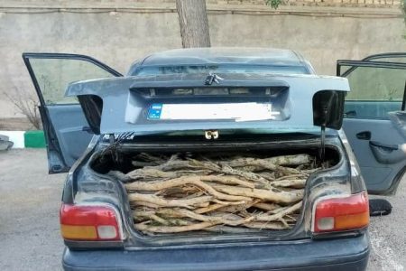 توقیف پراید حامل 350 کیلوگرم چوب تاغ در سرخس