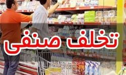 تشکیل ۱۹ پرونده تخلف در بازرسی از واحدهای صنفی سرخس
