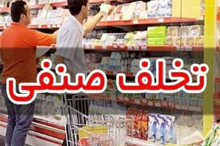 تشکیل ۱۹ پرونده تخلف در بازرسی از واحدهای صنفی سرخس