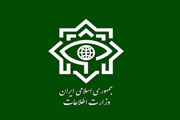 عامل ارسال فیلم و محتوا به رسانه‌های معاند در سرخس دستگیر شد