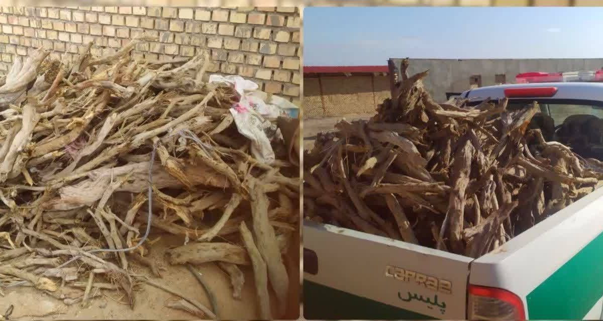 کشف ۶۰۰ کیلوگرم چوب قاچاق تاغ در بخش مزداوند سرخس