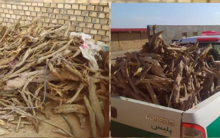 کشف ۶۰۰ کیلوگرم چوب قاچاق تاغ در بخش مزداوند سرخس